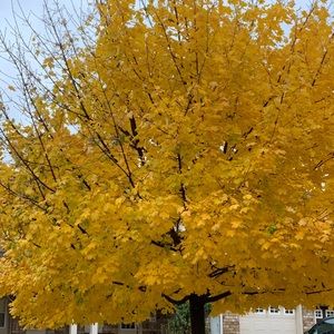 Meet your Posher, Tim